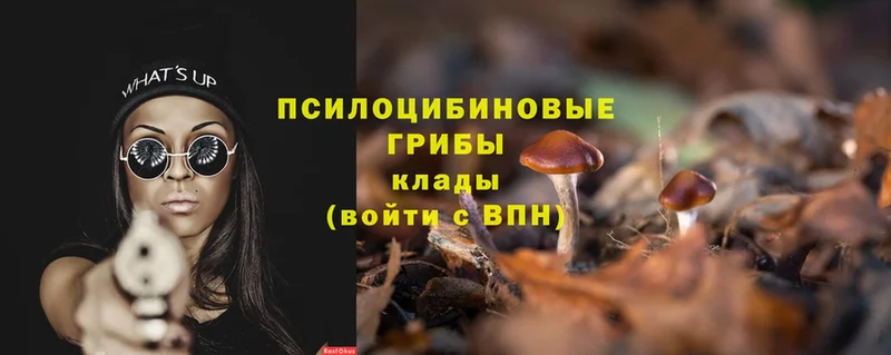 KRAKEN зеркало  Нижнеудинск  Галлюциногенные грибы Magic Shrooms  что такое  